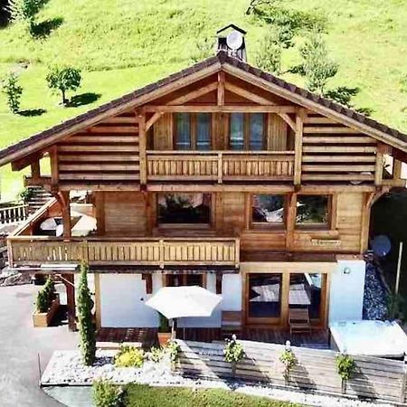 Androsace Appartement Dans Chalet Bois Avec Jacuzzi Privatif Terrasse Et Vue Montagne Les Villards-sur-Thônes Exterior foto