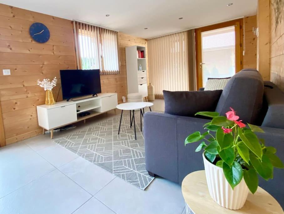 Androsace Appartement Dans Chalet Bois Avec Jacuzzi Privatif Terrasse Et Vue Montagne Les Villards-sur-Thônes Exterior foto