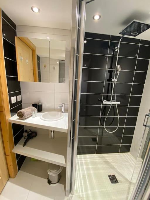 Androsace Appartement Dans Chalet Bois Avec Jacuzzi Privatif Terrasse Et Vue Montagne Les Villards-sur-Thônes Exterior foto
